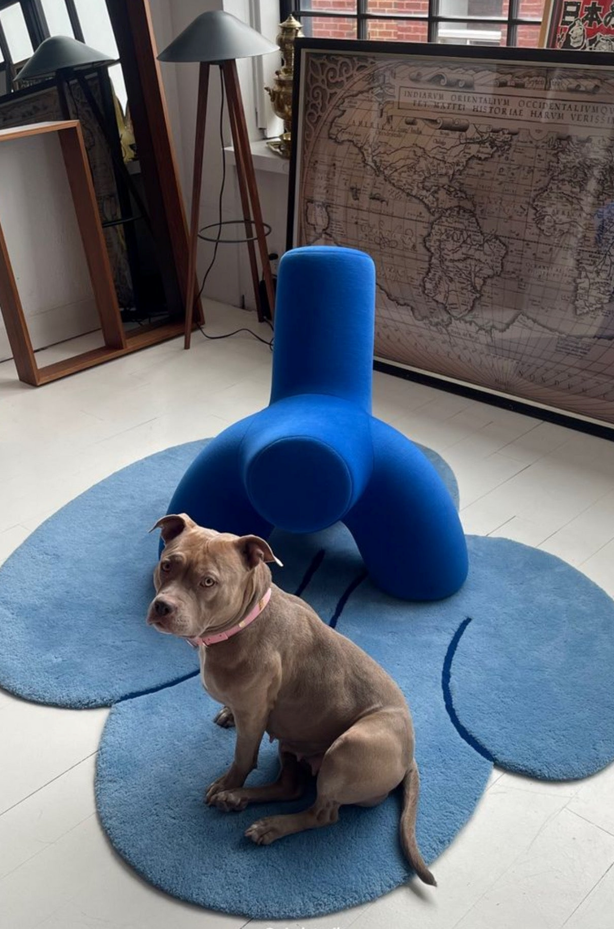 Okej - Squiggle Rug Cloud Blue