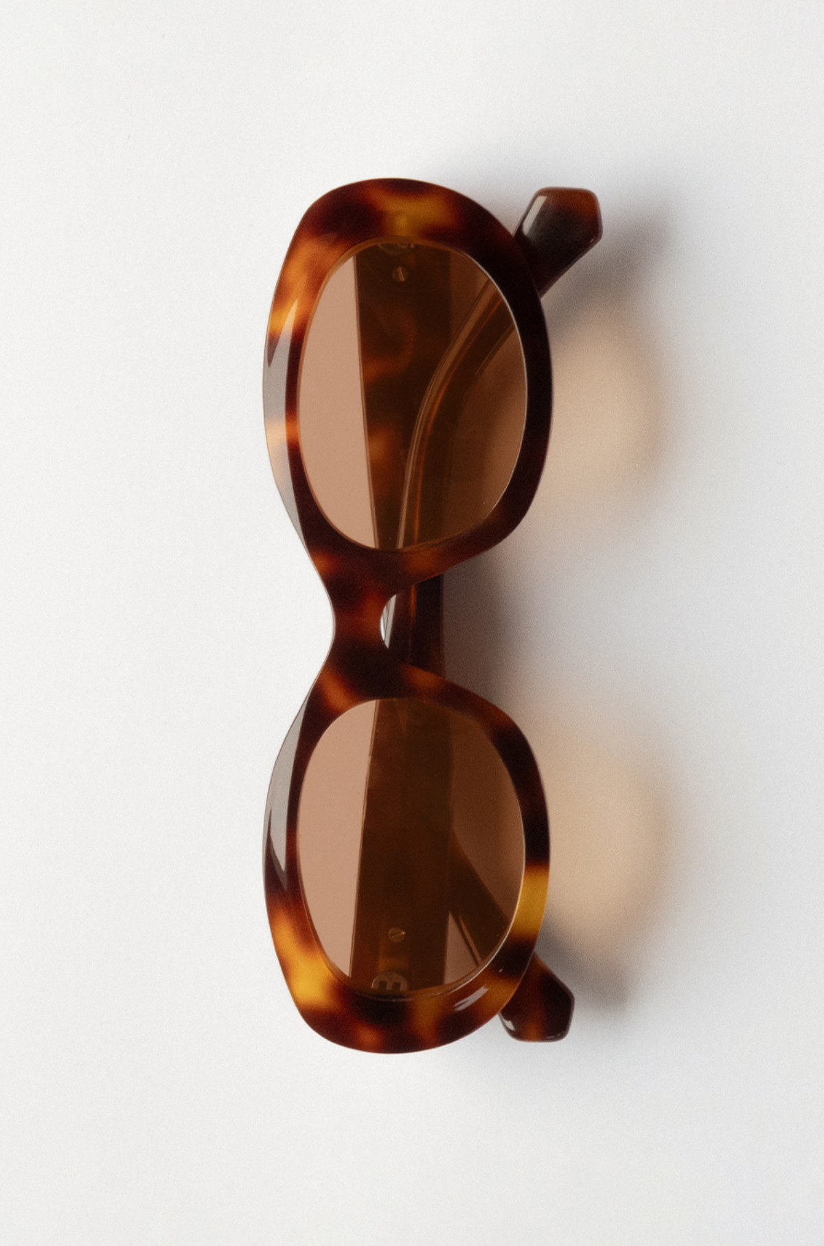 Corlin - Carpi Sunglasses - Tortoise Cinnamon