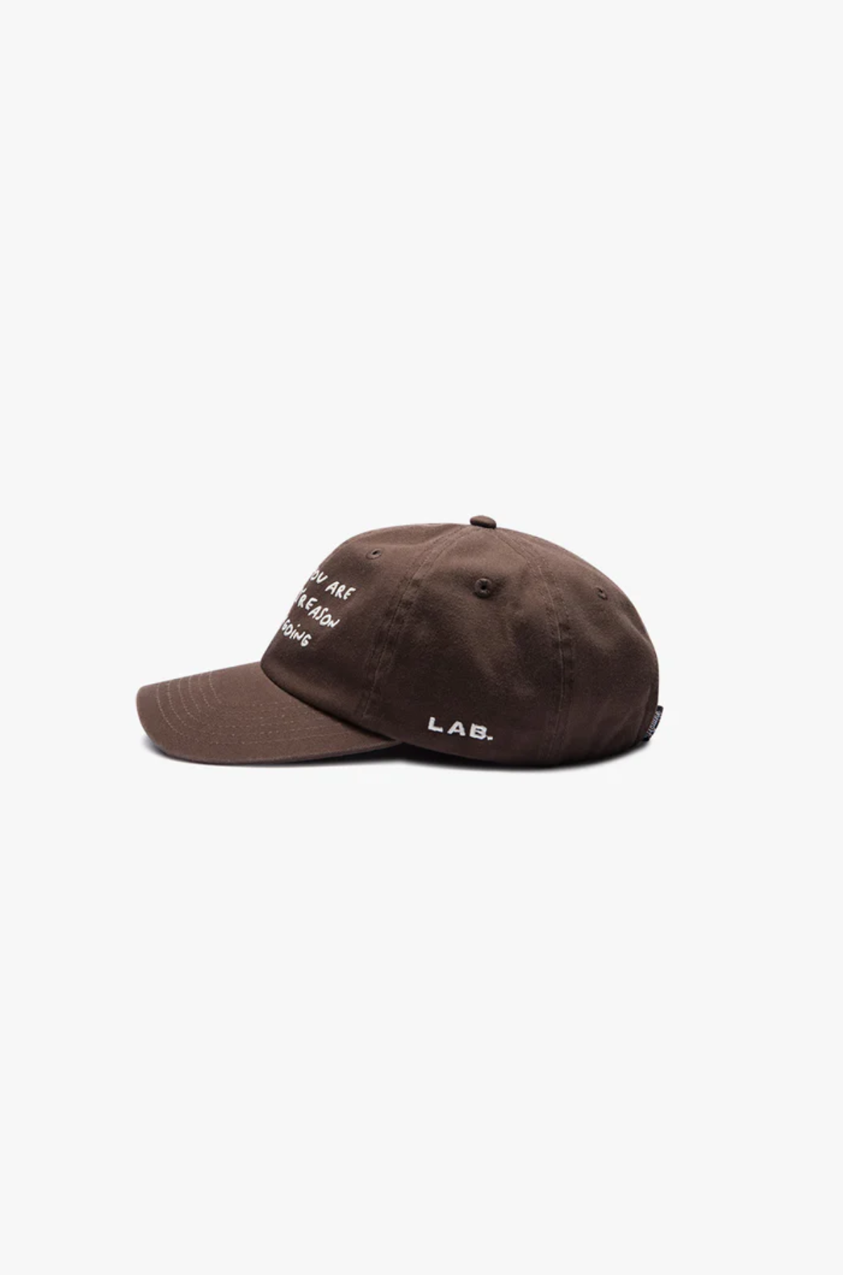 Hatline Lab - Purpose Dad Cap Braun